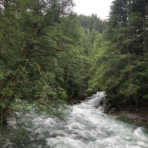 Meet your Posher, Maggie